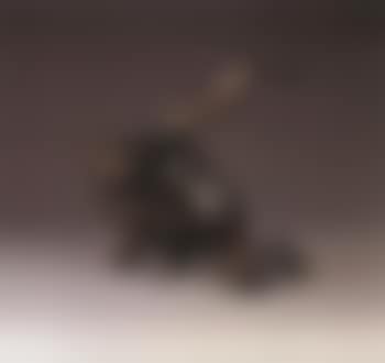 Movement - small cry of the earth (preview)