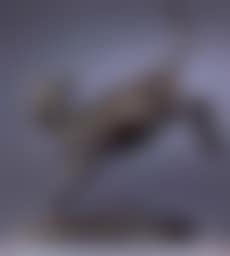 Jumping calf (preview)