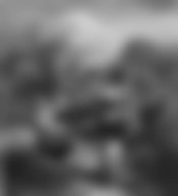 Coming down from the alpine pasture (preview)