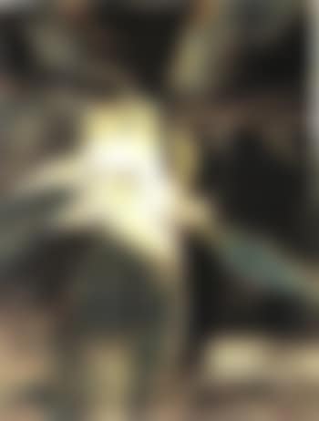 Magnolia flower (preview)