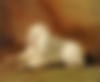 Portrait of a poodle (preview)