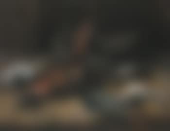 Still life with pheasant, small birds and basket (preview)