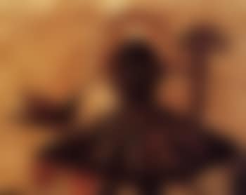 Harlequin and bird (preview)