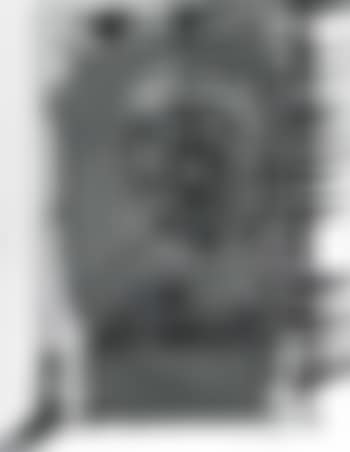 False eyelid (preview)