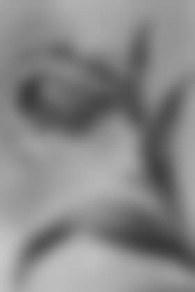 Tulip (preview)