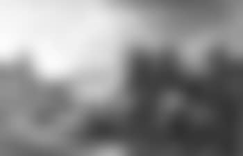 Cattle in Italian landscape (preview)