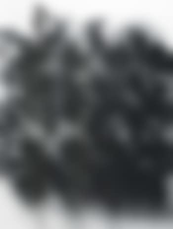 Flowers (preview)
