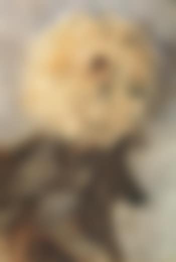 Chrysanthemum (preview)