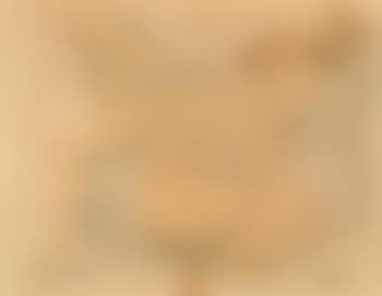 Two reclining female nudes (preview)