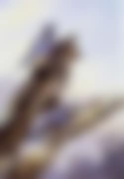 The forester's friends, nuthatches (preview)