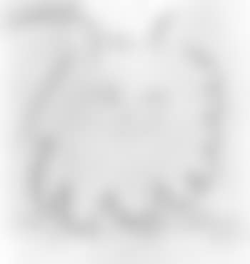 Head (preview)