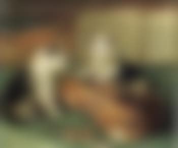 Two kittens playing with violin (preview)