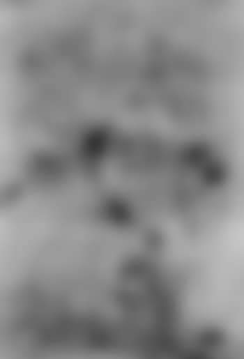 Putti in landscape (preview)
