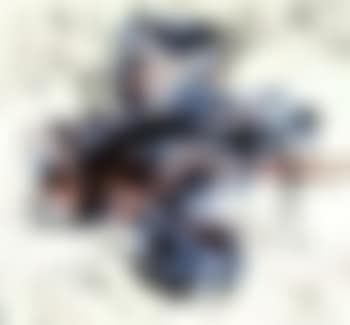 Untitled (preview)