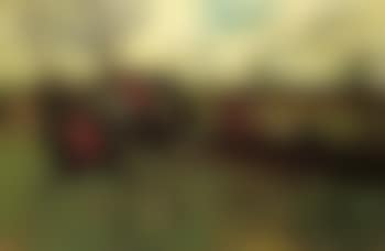 In the first flight (preview)