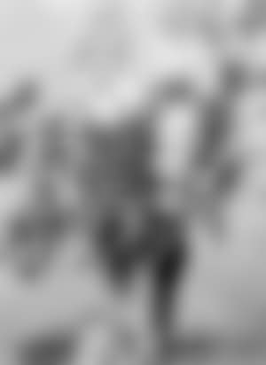 Old fashioned bouquet (preview)