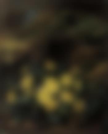 Primroses and violets. Heather (preview)