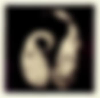 Toy pumpkins (preview)