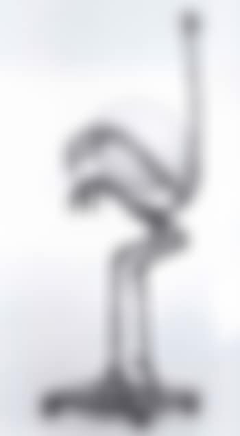 Ostrich (preview)