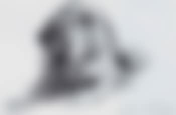 Lion (preview)