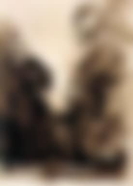 Scene de foret (preview)