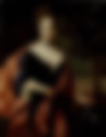 Portrait of lady (preview)