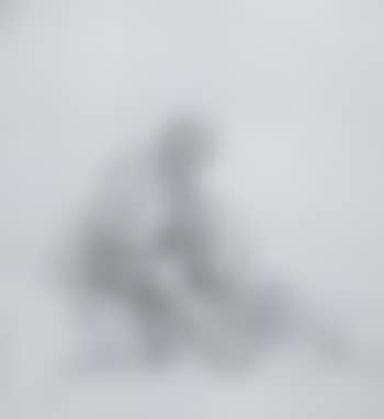 Seated peasant with stick and dog (preview)