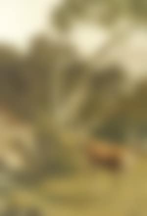 Fallow deer (preview)