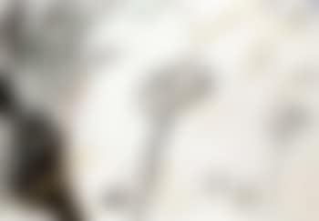 Composition (preview)