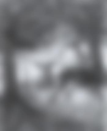Stag and does in the undergrowth (preview)