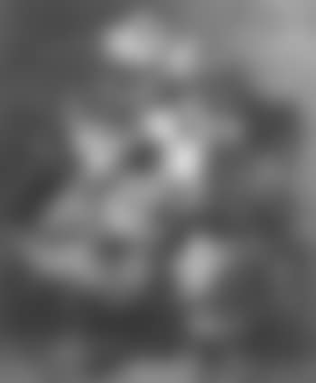 Still life with flowers (preview)