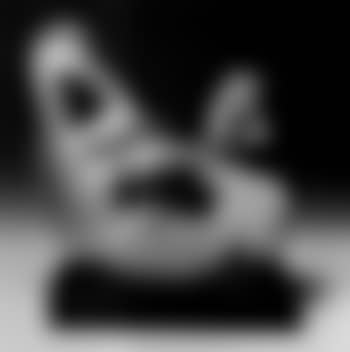 Setting hen (preview)