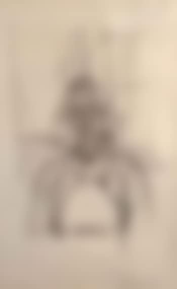 Annette (preview)