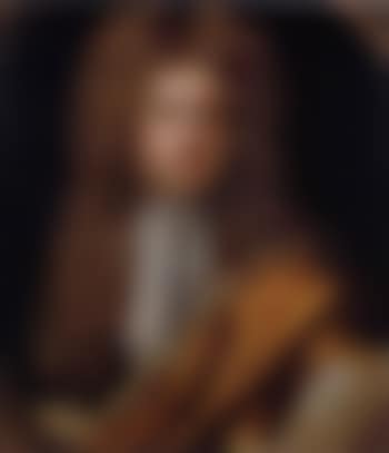 Portrait of gentleman in gold cloak (preview)