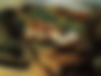 Old Arab house (preview)