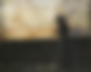 Woman in field (preview)