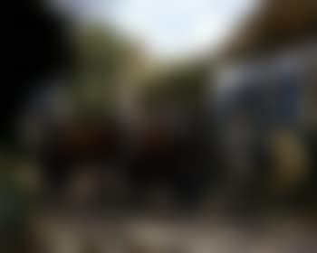 Returning to the farm (preview)