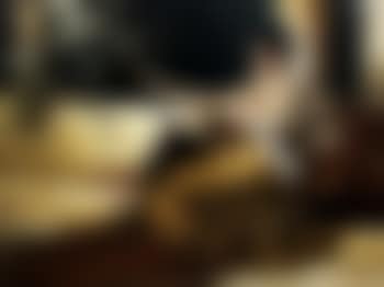 The mandolin player (preview)