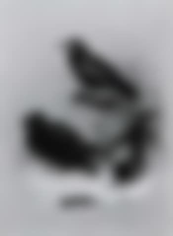 Carion crow, rook and hooded crow (preview)