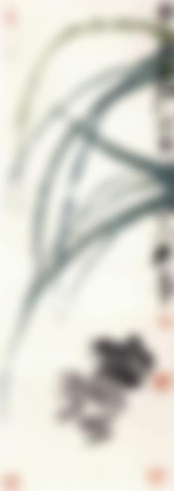 Frogs (preview)