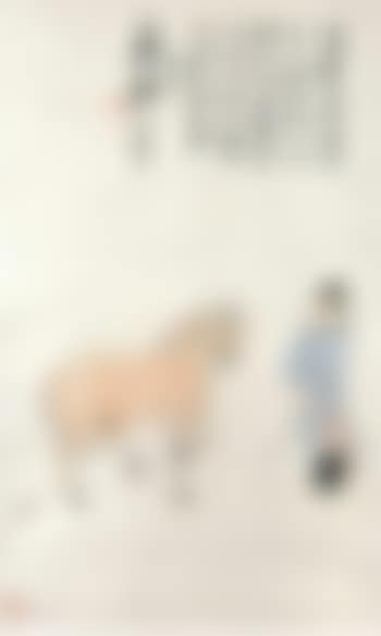 Examining horse (preview)