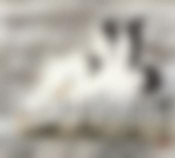 Nude and egrets (preview)