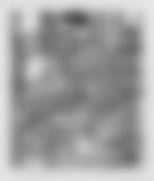Two nudes, from Nudes (preview)