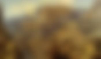 Grand Canyon (preview)