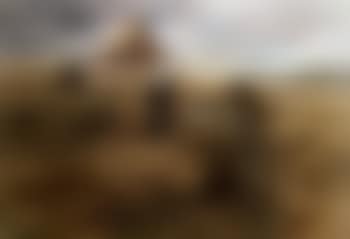 Gleaners (preview)