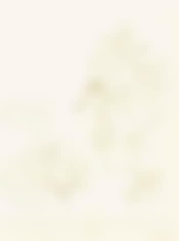 Theme a variation 2 (preview)