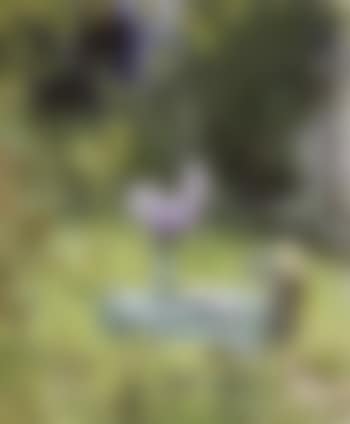Table in the garden (preview)