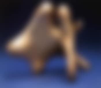 Mediterranean group (preview)