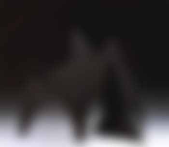 Prehistoric beast (preview)