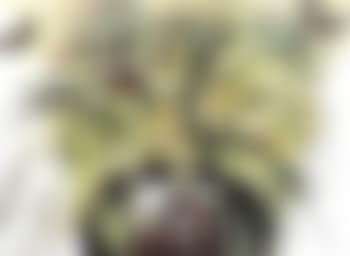 Currier and Ives (preview)